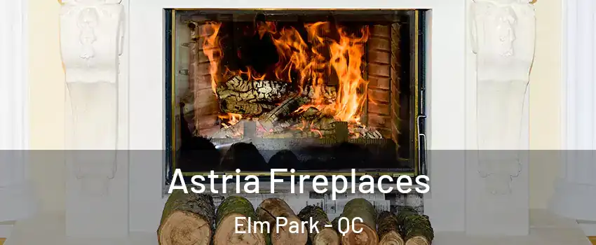  Astria Fireplaces Elm Park - QC