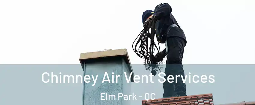  Chimney Air Vent Services Elm Park - QC