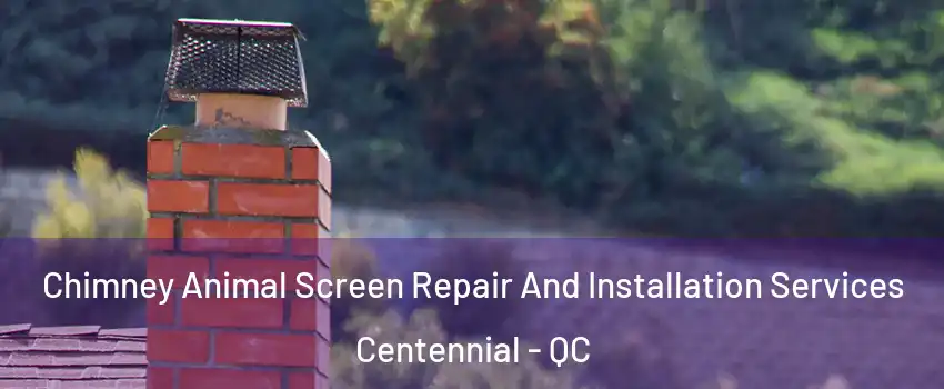  Chimney Animal Screen Repair And Installation Services Centennial - QC