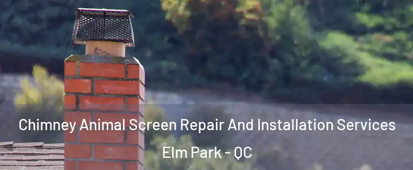  Chimney Animal Screen Repair And Installation Services Elm Park - QC