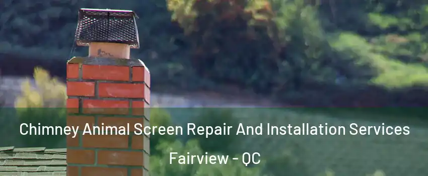  Chimney Animal Screen Repair And Installation Services Fairview - QC