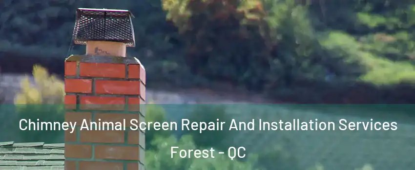  Chimney Animal Screen Repair And Installation Services Forest - QC