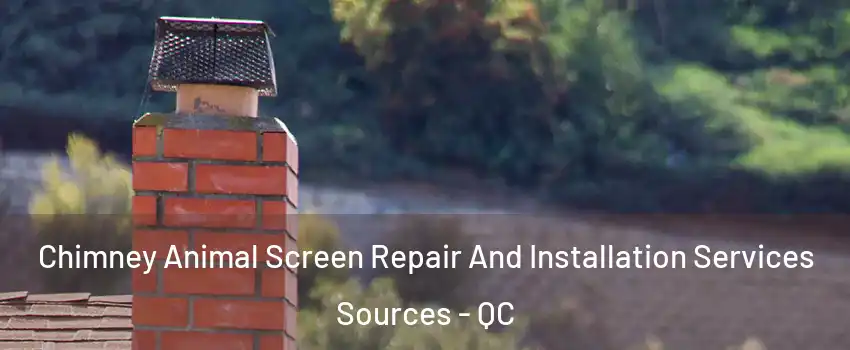  Chimney Animal Screen Repair And Installation Services Sources - QC