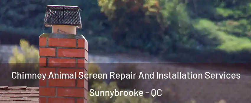  Chimney Animal Screen Repair And Installation Services Sunnybrooke - QC