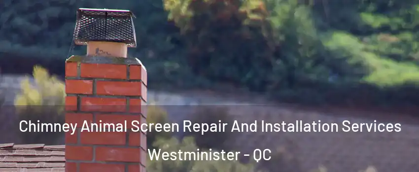  Chimney Animal Screen Repair And Installation Services Westminister - QC