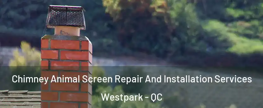  Chimney Animal Screen Repair And Installation Services Westpark - QC
