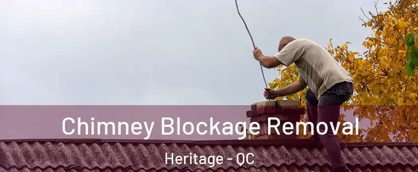 Chimney Blockage Removal Heritage - QC