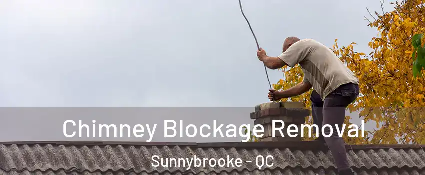  Chimney Blockage Removal Sunnybrooke - QC