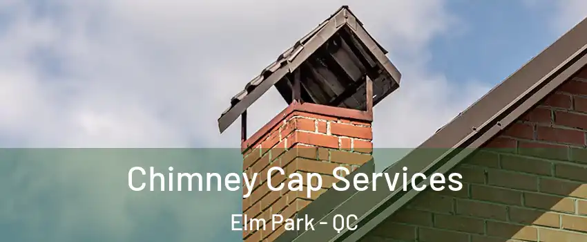  Chimney Cap Services Elm Park - QC