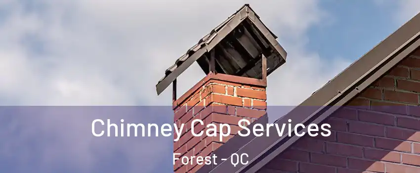 Chimney Cap Services Forest - QC