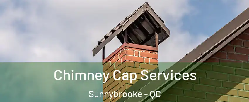 Chimney Cap Services Sunnybrooke - QC
