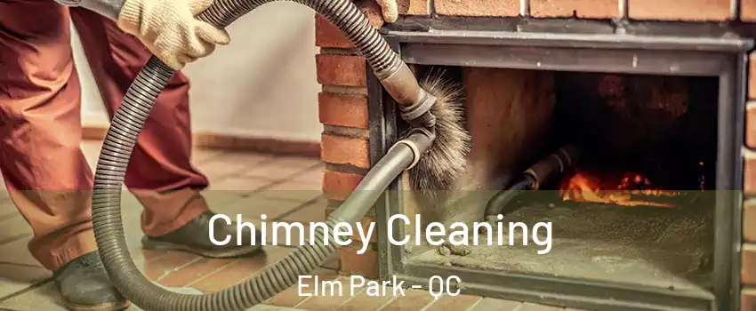 Chimney Cleaning Elm Park - QC
