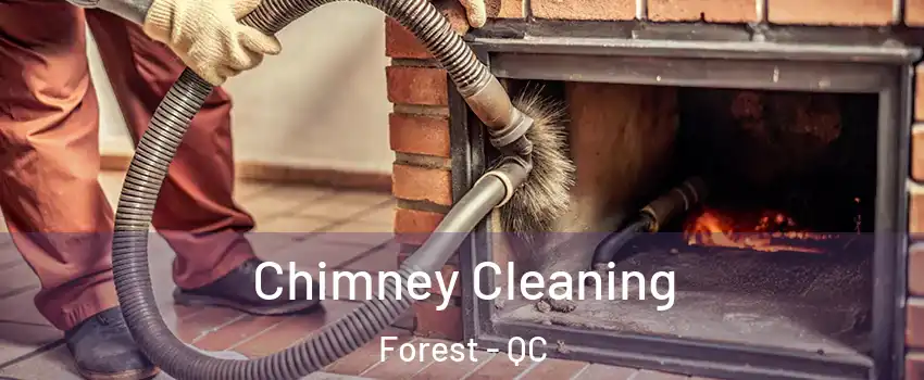 Chimney Cleaning Forest - QC
