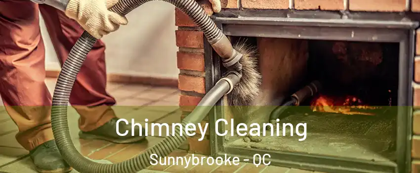 Chimney Cleaning Sunnybrooke - QC
