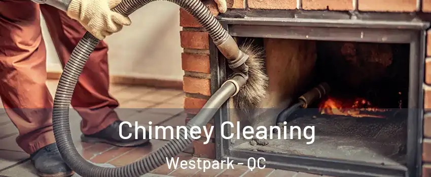  Chimney Cleaning Westpark - QC