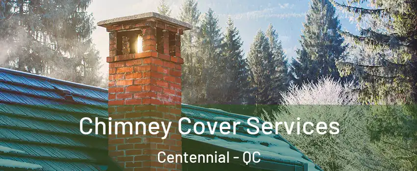  Chimney Cover Services Centennial - QC
