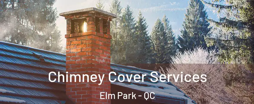  Chimney Cover Services Elm Park - QC