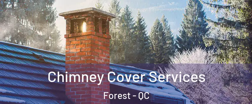  Chimney Cover Services Forest - QC