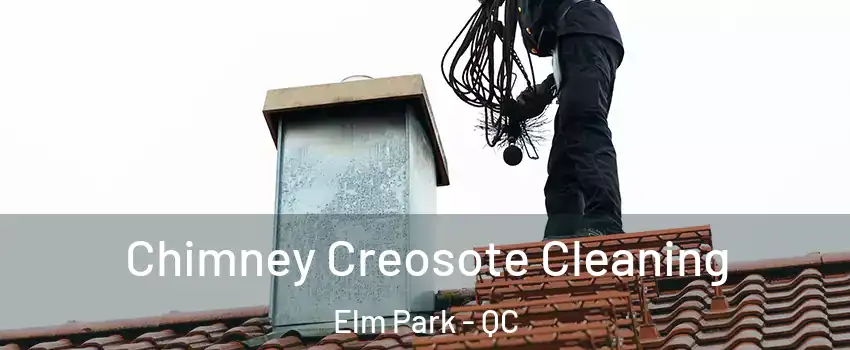 Chimney Creosote Cleaning Elm Park - QC