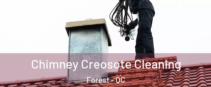  Chimney Creosote Cleaning Forest - QC