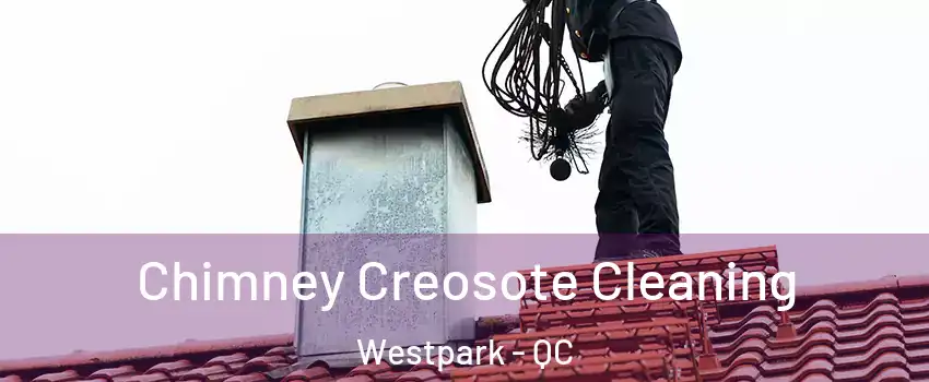 Chimney Creosote Cleaning Westpark - QC