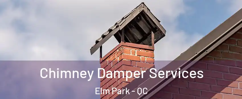  Chimney Damper Services Elm Park - QC