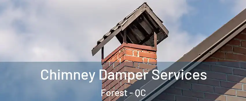  Chimney Damper Services Forest - QC