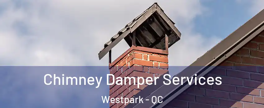 Chimney Damper Services Westpark - QC