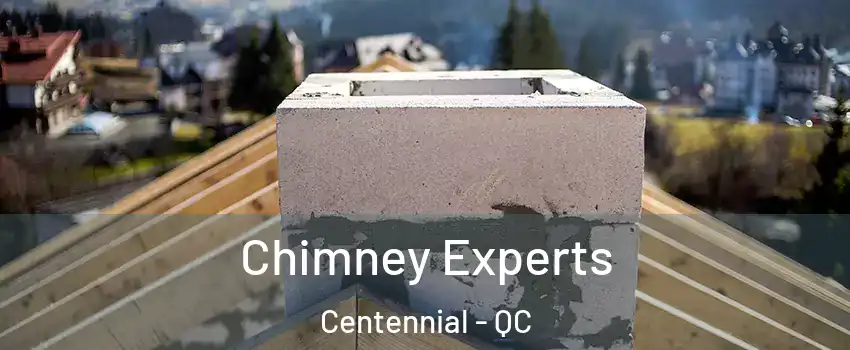 Chimney Experts Centennial - QC