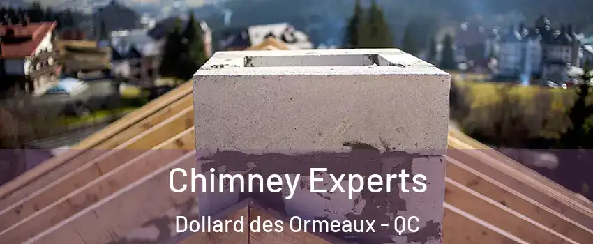  Chimney Experts Dollard des Ormeaux - QC