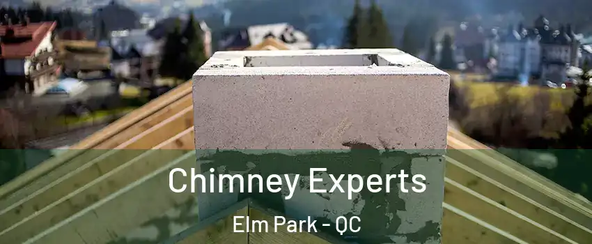  Chimney Experts Elm Park - QC