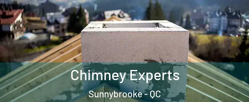 Chimney Experts Sunnybrooke - QC
