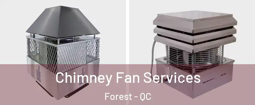  Chimney Fan Services Forest - QC