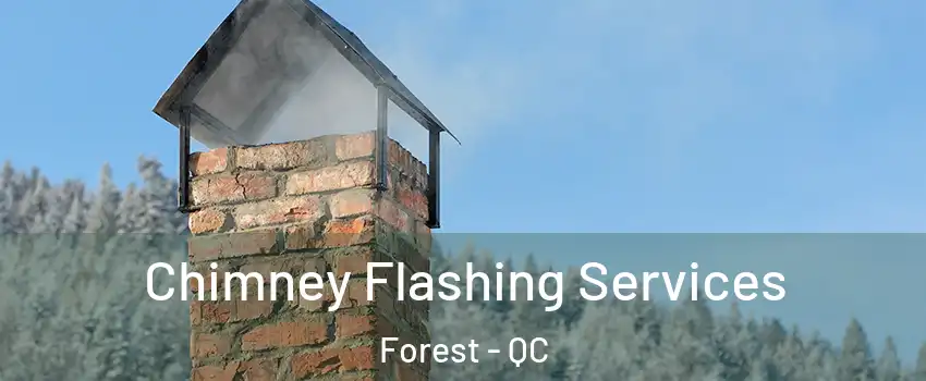  Chimney Flashing Services Forest - QC