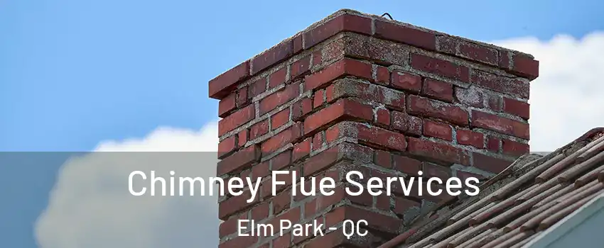  Chimney Flue Services Elm Park - QC