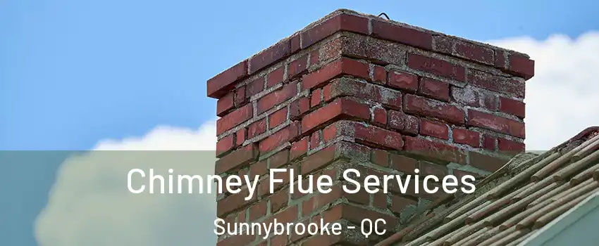  Chimney Flue Services Sunnybrooke - QC