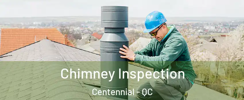  Chimney Inspection Centennial - QC