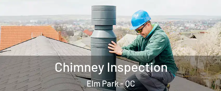  Chimney Inspection Elm Park - QC