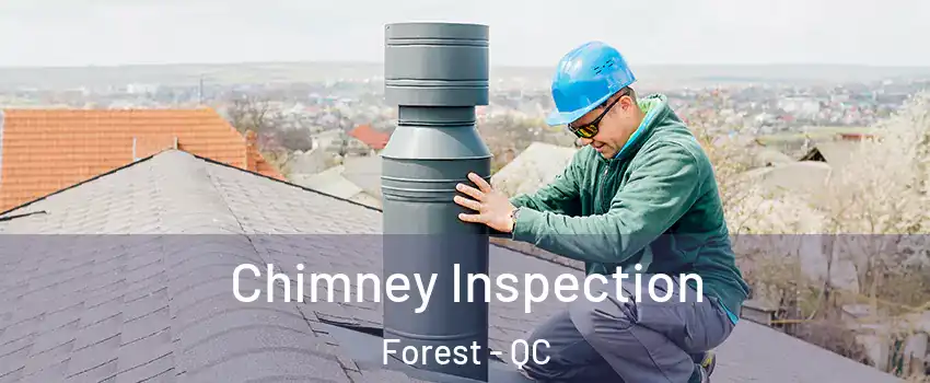  Chimney Inspection Forest - QC