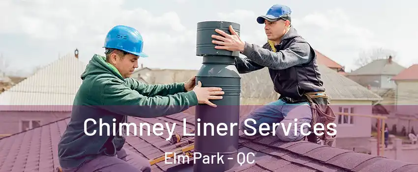  Chimney Liner Services Elm Park - QC