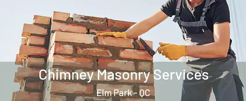  Chimney Masonry Services Elm Park - QC