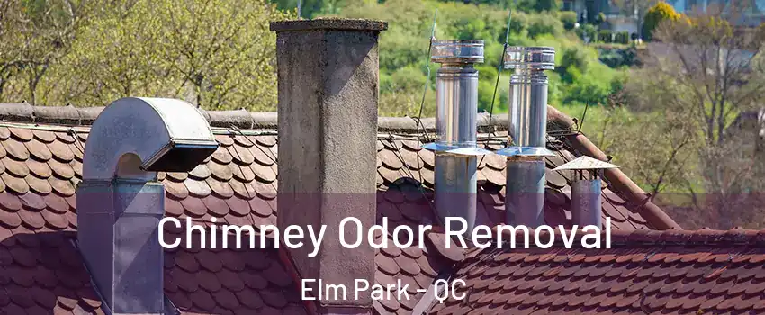  Chimney Odor Removal Elm Park - QC