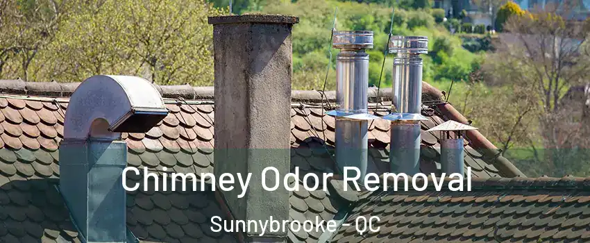  Chimney Odor Removal Sunnybrooke - QC