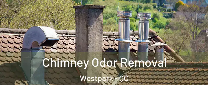  Chimney Odor Removal Westpark - QC