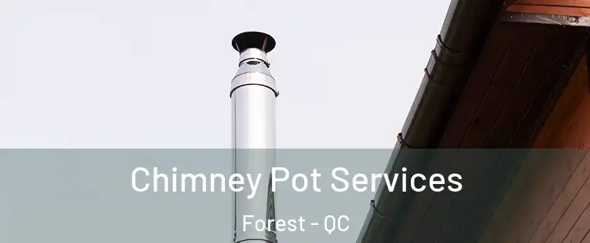 Chimney Pot Services Forest - QC
