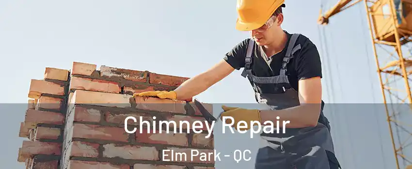  Chimney Repair Elm Park - QC