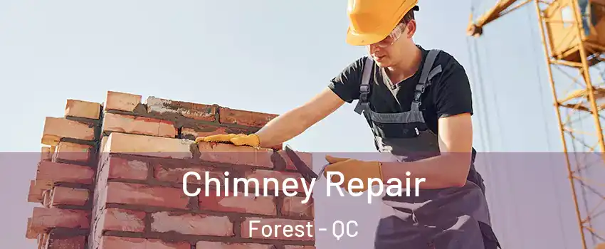 Chimney Repair Forest - QC