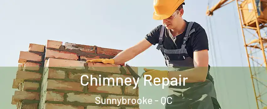  Chimney Repair Sunnybrooke - QC