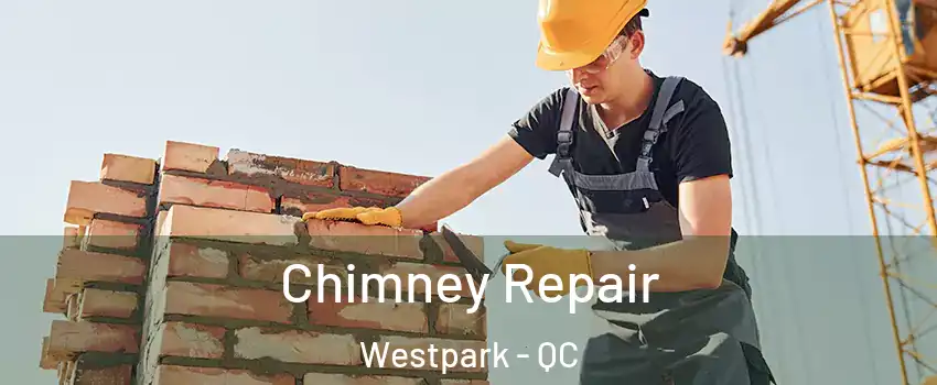  Chimney Repair Westpark - QC