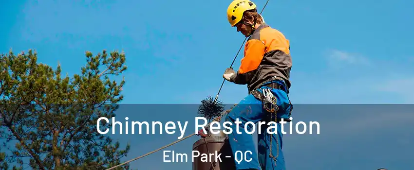  Chimney Restoration Elm Park - QC